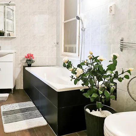 Ferenc Apartment